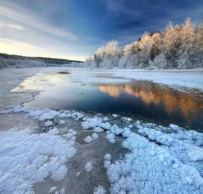 Фотка Вепсского леса: запечатлейте мгновение красоты