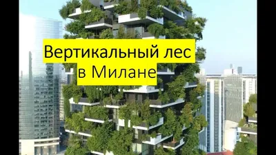 Мир зеленых чудес: фотографии Вертикального леса Милана