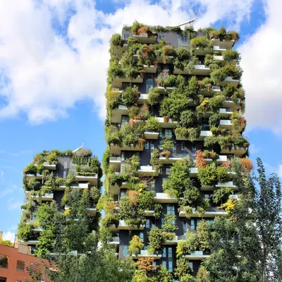 Скачать бесплатное изображение вертикального леса Милана