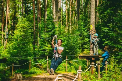 Веселые джунгли Красногорска: фотоэкскурсия в дикую природу