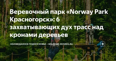 Удивительные моменты в Веселых джунглях Красногорска: фотоотчет о приключениях