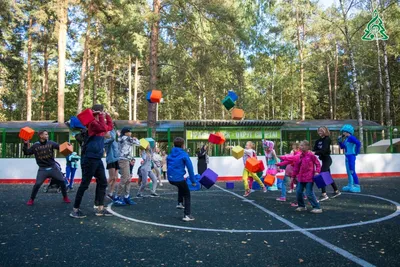 Фотографии природы Веселых джунглей Красногорска: волшебство дикой природы