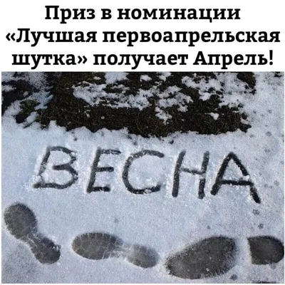 Весенние фотографии: веселые моменты весны