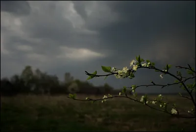 Фотографии Весенняя гроза в 4K разрешении