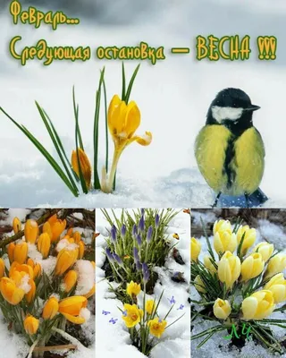 Весенние фото в формате PNG