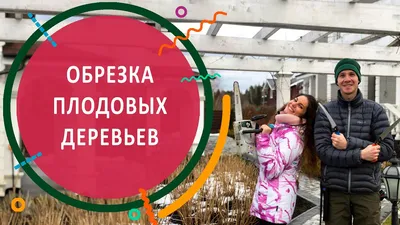 Весенняя обрезка плодовых деревьев: фотоподборка для ios 