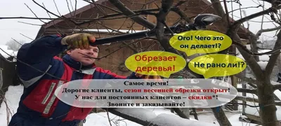 Шаги к успешному садоводству: Визуальное руководство по весенней обрезке деревьев