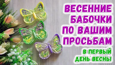 Весенние бабочки: фотографии, которые вызывают восторг