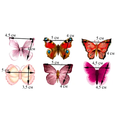 Удивительные бабочки на прекрасных фотографиях