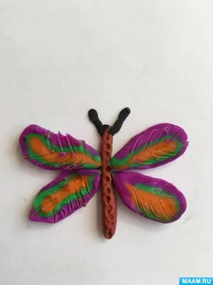 Очаровательные бабочки на ярких фотографиях разного размера и формата