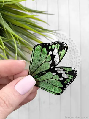 Впечатляющие картинки разнообразных весенних бабочек с вариантами размеров и формата изображения