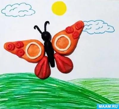 Фото удивительных весенних бабочек с выбором желаемого размера изображения и возможностью выбора формата