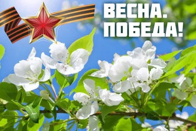 Удивительные фото с надписями для весеннего вдохновения