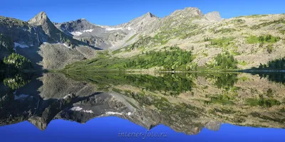 Фото весенних цветов в HD качестве