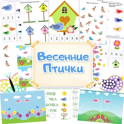 Весенние птички - удивительные снимки природы