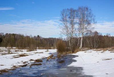 Скачать бесплатно красивые фото весенних ручьев