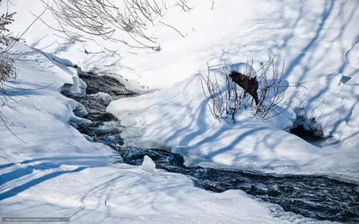 Весенние ручьи - прекрасное сочетание природы и воды