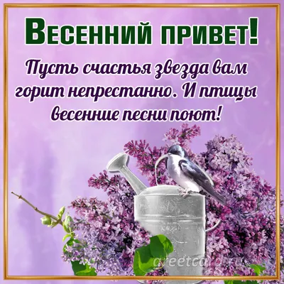 Фото весны: скачать бесплатно в формате JPG, PNG, WebP