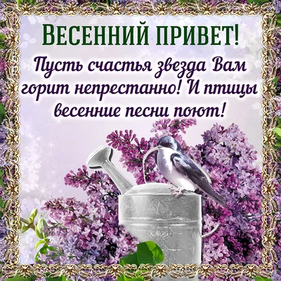 Весенний привет: волшебство природы на фото