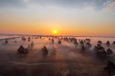 Фото Весеннего рассвета: Уникальные фоны для вашего устройства