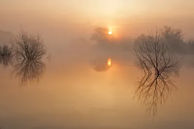 Фотк: Вдохновляющие фотографии утреннего рассвета