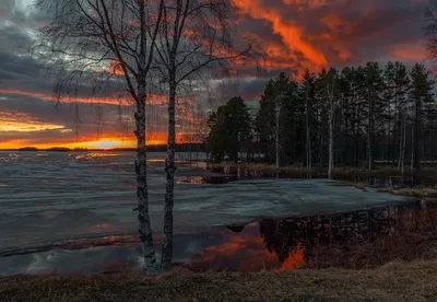 Фотографии Весеннего вечера: скачать бесплатно в Full HD