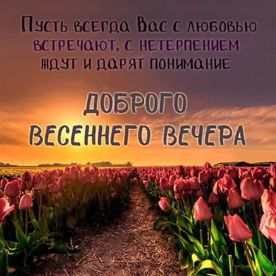 Весенний вечер: фотографии, полные эмоций