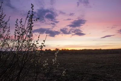 HD фото весеннего вечера (GIF)