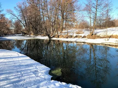 Весна в фотографиях: красота природы