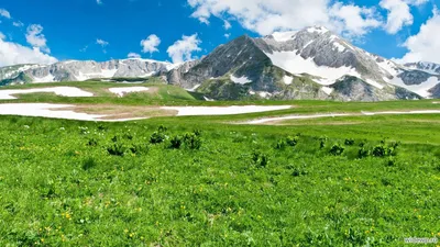 Прекрасные фотографии весны для аватара