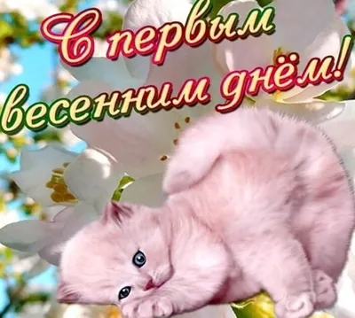 Весенние цветы, которые радуют глаз на фото