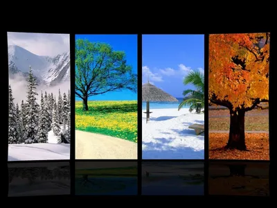 Ваш выбор: фотографии зимы в разных размерах