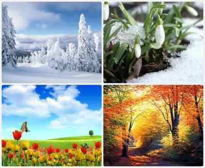 Фотографии зимнего великолепия доступны для загрузки