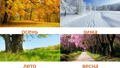 Фотографии зимнего красочного мира: выбирайте формат