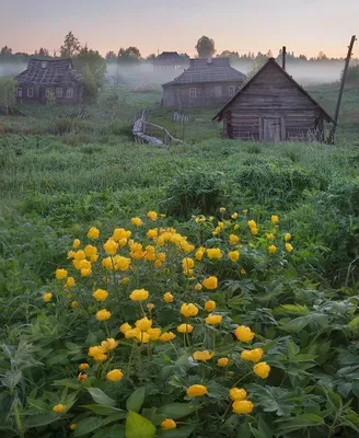 Весенние фотографии: выберите размер и формат для скачивания