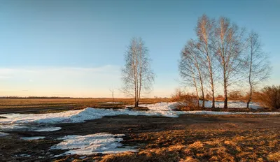 Весна в деревне: время радости и обновления