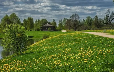 Фото Весны в деревне: скачать бесплатно красочные картинки