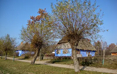 [75+] Весна в деревне картинки фото