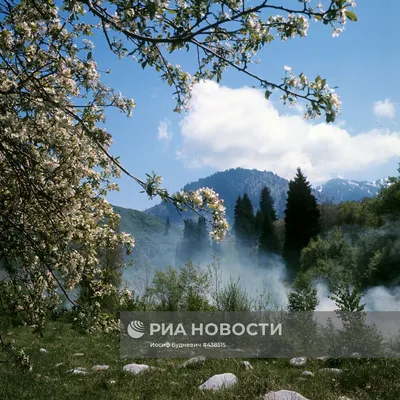 Весенние горные пейзажи: взгляд с высоты