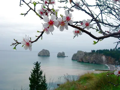 Фото весны в Крыму: красочные изображения для скачивания