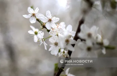 Весенние пейзажи Крыма: уникальные кадры