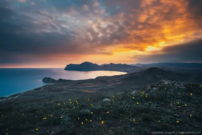 Фото весны в Крыму: впечатляющие снимки в 4K