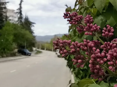 Весна во всей своей красе: фотографии