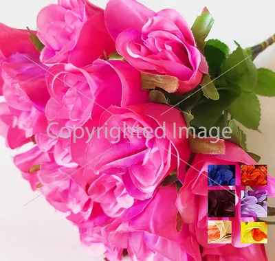 Фото с крупным планом ветки розы - выберите понравившийся формат