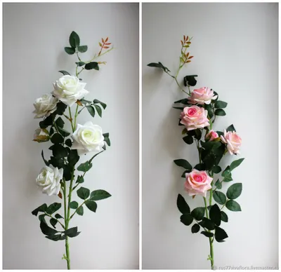 Изображение ветки розы - png формат для лучшей четкости