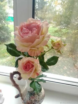 Прекрасная фотография ветки розы - скачать в jpg формате