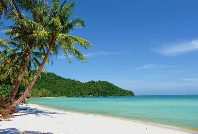 Фотографии пляжей Вьетнама в хорошем качестве: JPG, PNG, WebP