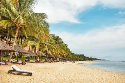 Откройте для себя прекрасные пляжи Вьетнама на фото