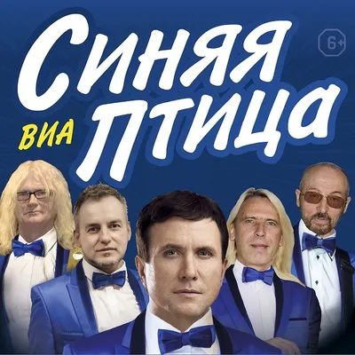 Виа синяя птица – фото птицы в формате jpg