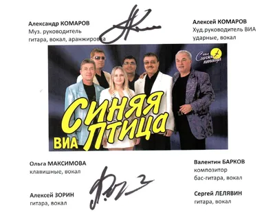 Изображение Виа синяя птица в формате jpg для скачивания